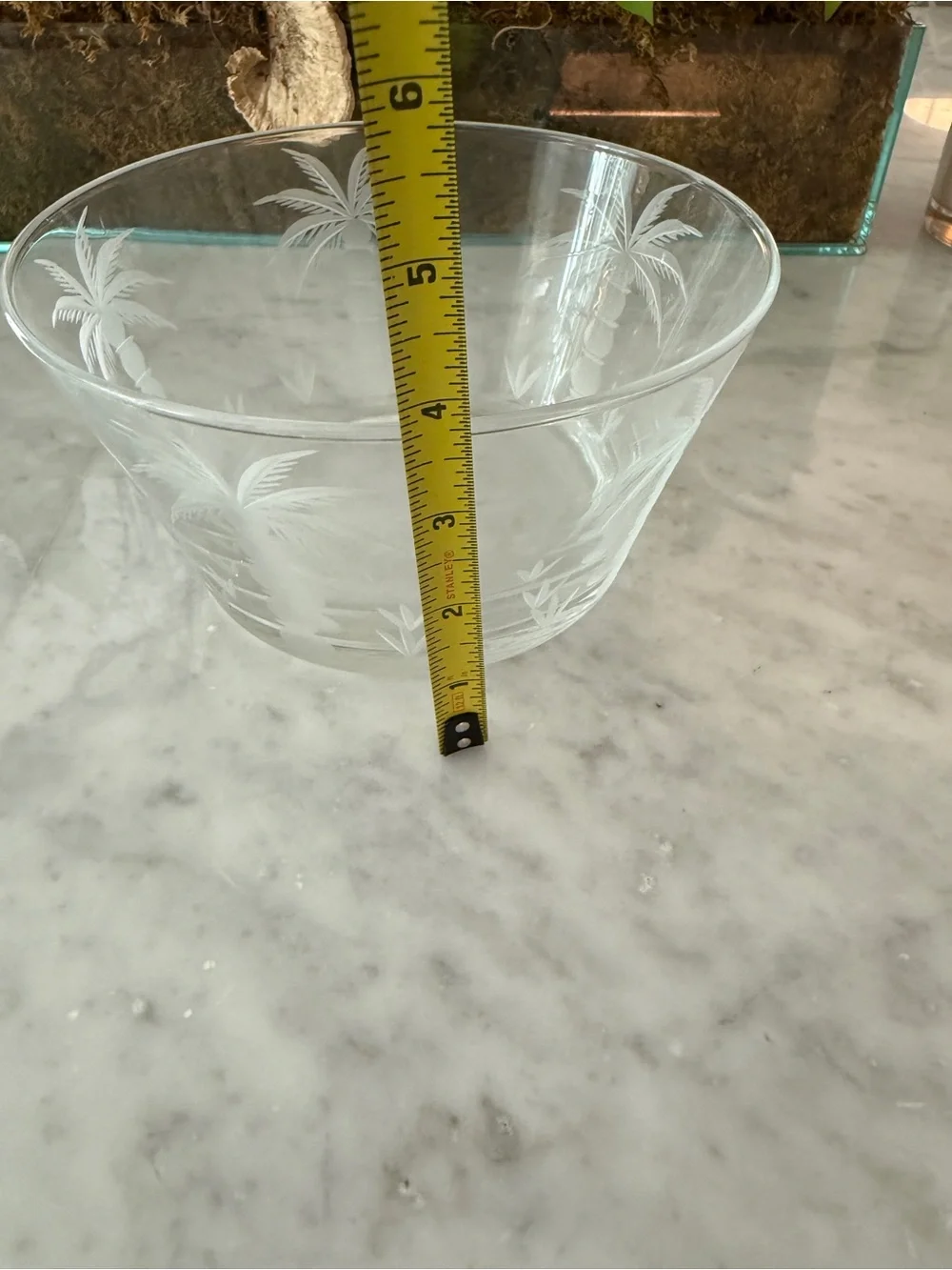 South Carolina Etched Palm Tree Bowl Palmetto